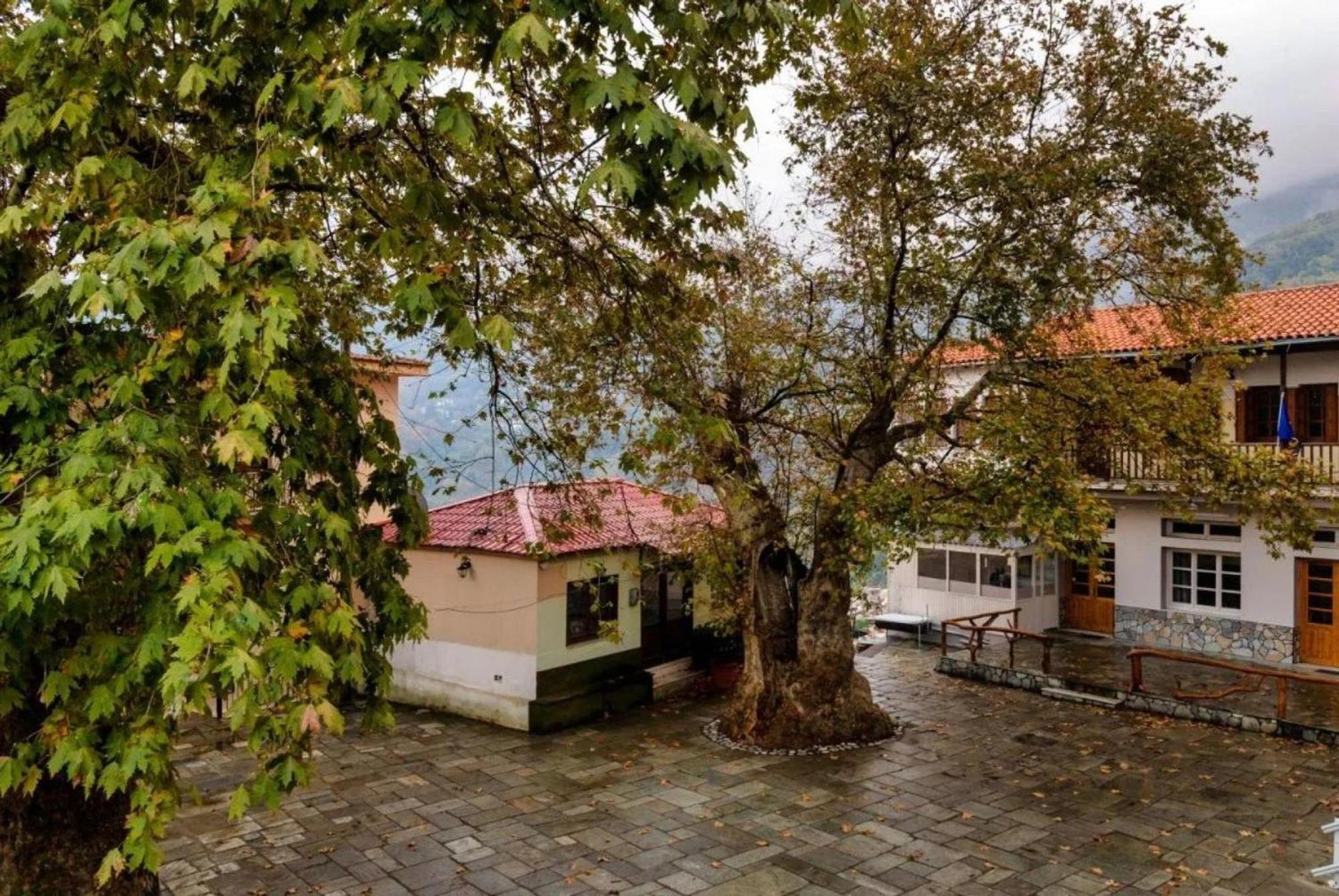 Hara'S House Pelion Apartman Makriráhi Kültér fotó