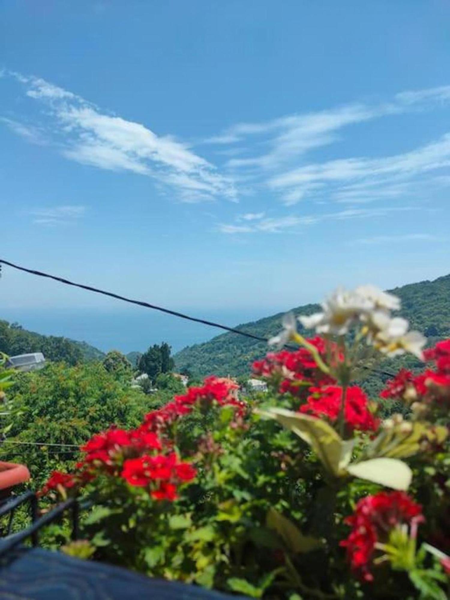 Hara'S House Pelion Apartman Makriráhi Kültér fotó