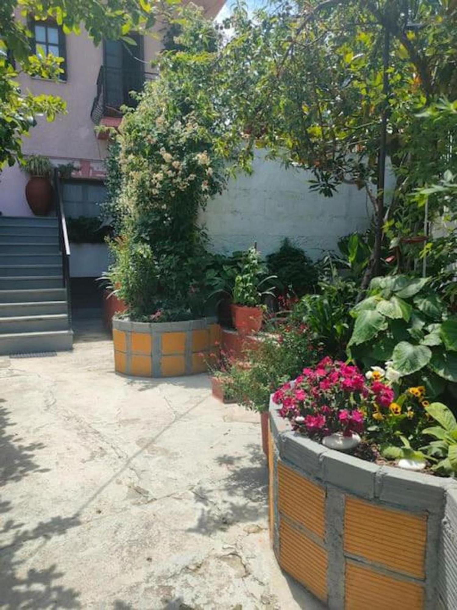 Hara'S House Pelion Apartman Makriráhi Kültér fotó